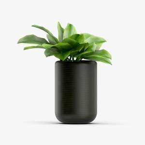 Tedo Dark Vase